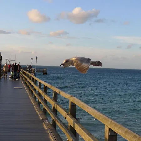 Kranich-kate, Exclusive Reet-doppelhaushaelfte Fuer 6 Personen In * Zingst