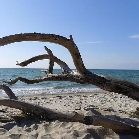 Kranich-kate, Exclusive Reet-doppelhaushaelfte Fuer 6 Personen In * Zingst